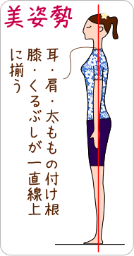 美姿勢詳細図